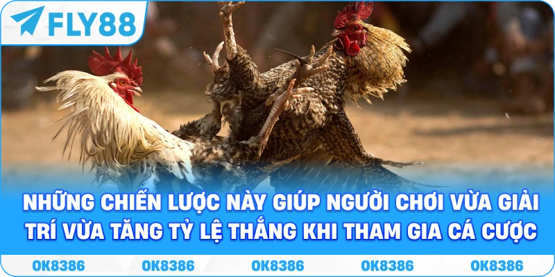 Những chiến lược này giúp người chơi vừa giải trí vừa tăng tỷ lệ thắng khi tham gia cá cược.